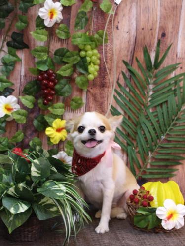 20230803くうちゃん